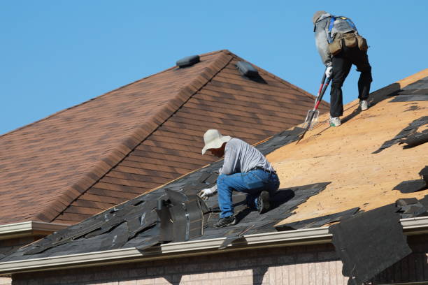 Best Roof Coating and Sealing  in Chamblee, GA